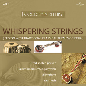 Thyagabrahmam - Nidhi Chaala Sukama Krithi / Raag : Mesha Kalyani (Taal : Misra Chapu & Adhitaalam , Western 7/8 & 2/4 Beats) (Inst.)