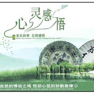 梅花欢喜满天雪