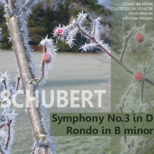 Syphony No. 3 in D Major - IV. Presto