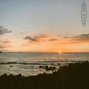 세화의 바다처럼