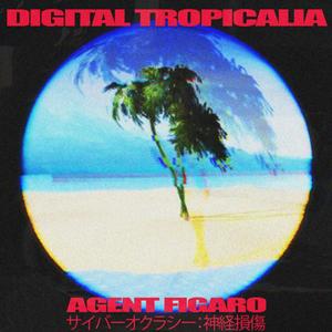 Digital Tropicalia (パラダイス)