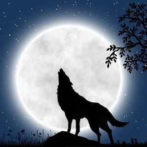 Wolf Howling at Night (feat. Nature Soundscape)