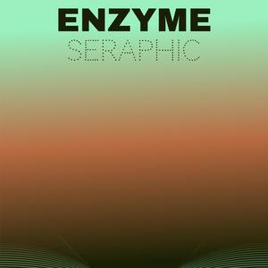 Enzyme Seraphic