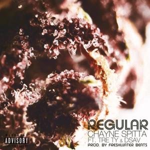 Regular(feat. Neon Savvy & Kid Knrly) (Explicit)