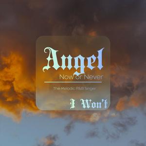 I Won't (feat. MACCWORLDYT) (Explicit)