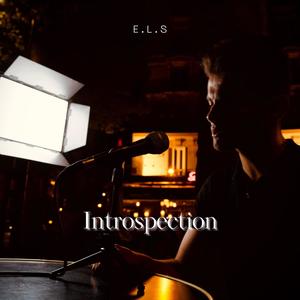 INTROSPECTION (Explicit)
