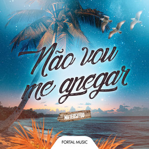 Não Vou Me Apegar (Remix)