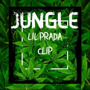 JUNGLE (Explicit)