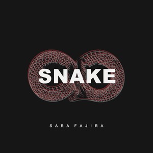 Snake (Explicit)