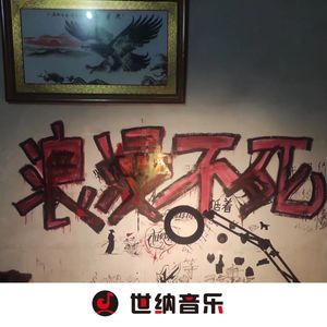 最好听塞北雪Dj电子琴电音版封面