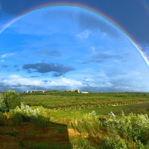 You Are My Lucky Star