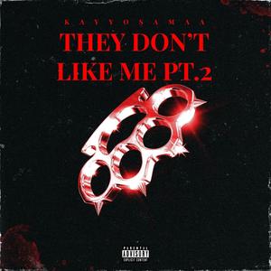 They Don't Like Me Pt. 2 (Explicit)