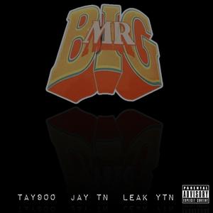 Mr.BIG (freestyle) (feat. JayTN & LeakYTN) [Explicit]