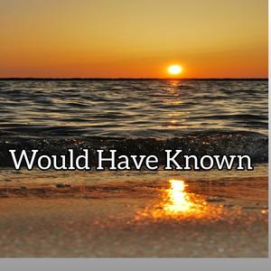 Would Have Known (feat. Angelicca, Nicholas Bonnin & Lolo Zouaï)