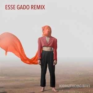 ESSE GADO (TECHNO-BITTES - REMIX)