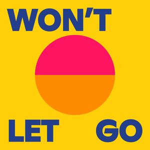 Won't Let Go (feat. Jeremiah Woods)