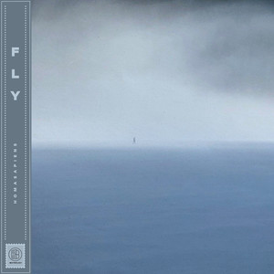 Fly