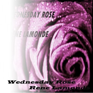 Wednesday Rose (Rainy Day)