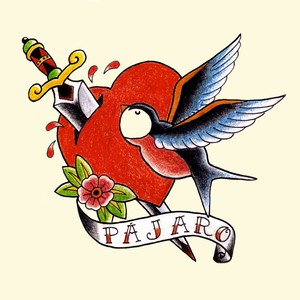 Pájaro