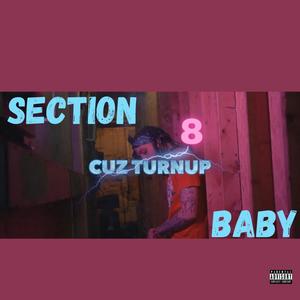 Section 8 Baby (Explicit)