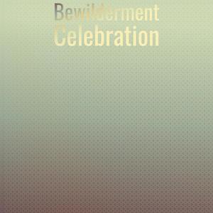 Bewilderment Celebration