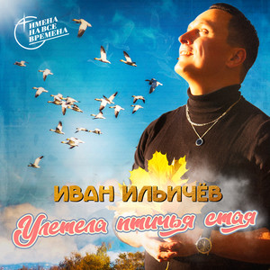 Улетела птичья стая