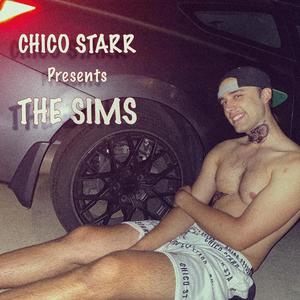 THE SIMS (Explicit)