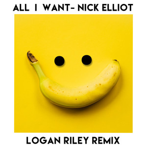 All I Want (Remix)