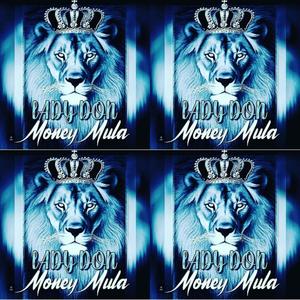 Money Mula (Explicit)