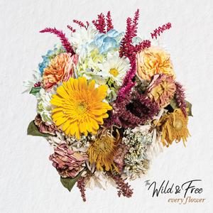 If This Is Love (Wilt)