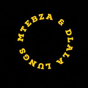 No Fear (feat. Dlala Lungs)