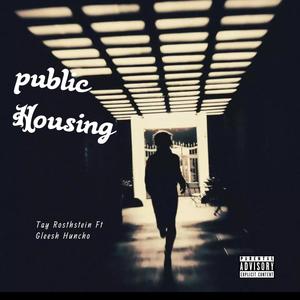 Public Housing (feat. Gleesh Huncho) (Explicit)