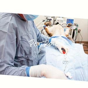 Fairly Warmheartedness