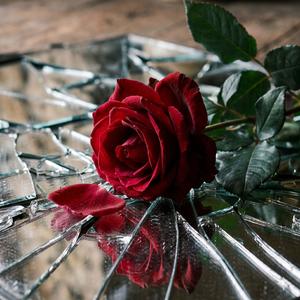 Bloom in the Mirror (feat. Sara Brown)