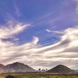 Presidential (Explicit)