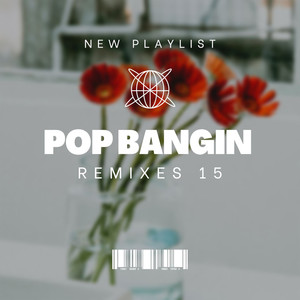 Pop Bangin Remixes 15 (Explicit)