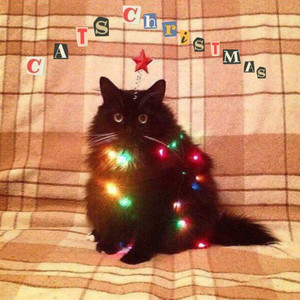 Cat's Christmas