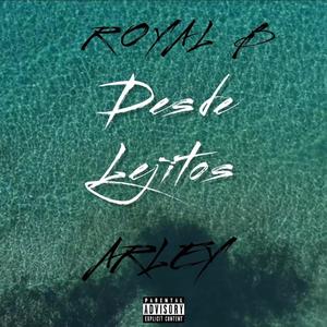 Desde Lejitos(feat. Royal B)