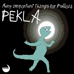 Many Impontant Things for Pekloid