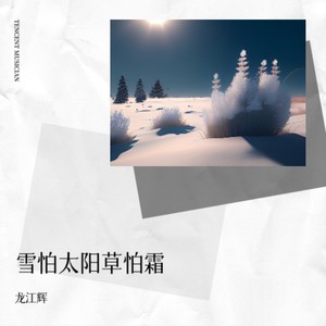 雪怕太阳草怕霜 (DJ默涵版)