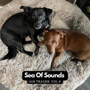 Jam Tracks: Volume 6