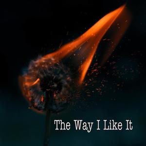 The Way I Like It (Explicit)
