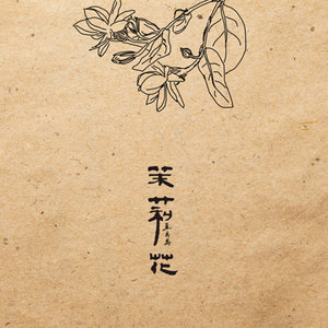 茉莉花