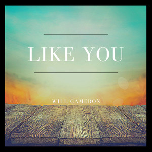 Like You