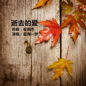 逝去的爱 (伴奏)