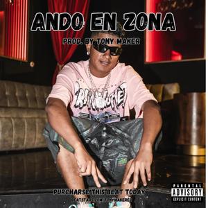 ANDO EN ZONA