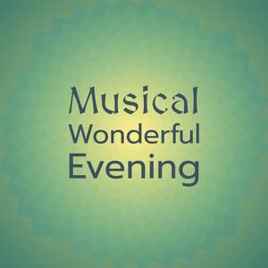 Musical Wonderful Evening