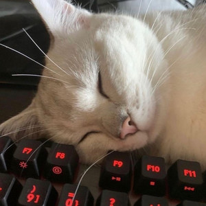 não era minha intenção (Explicit)