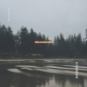 Branches (The Interstate Rework)