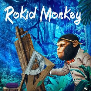 Rokid Monkey